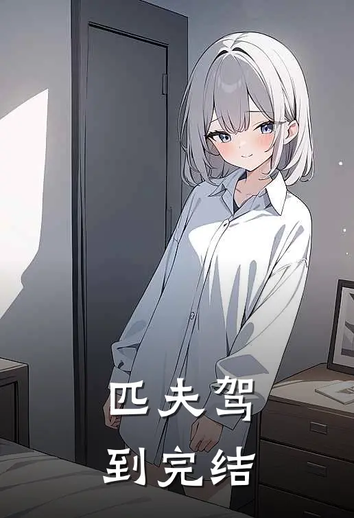 匹夫驾到完结