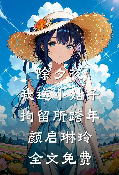 除夕夜，我送小姑子拘留所跨年颜启琳玲全文免费