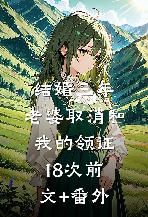 结婚三年，老婆取消和我的领证18次前文+番外