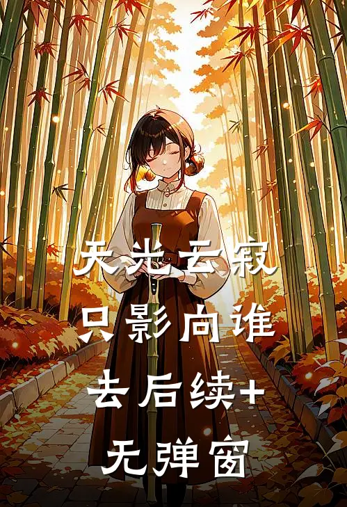 天光云寂，只影向谁去后续+无弹窗