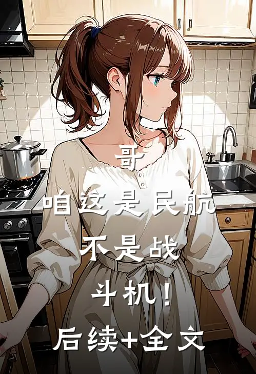 哥，咱这是民航，不是战斗机！后续+全文