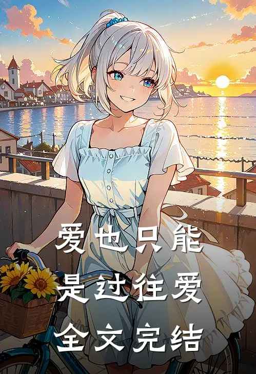 爱也只能是过往爱全文完结