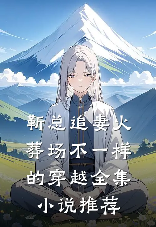 靳总追妻火葬场不一样的穿越全集小说推荐