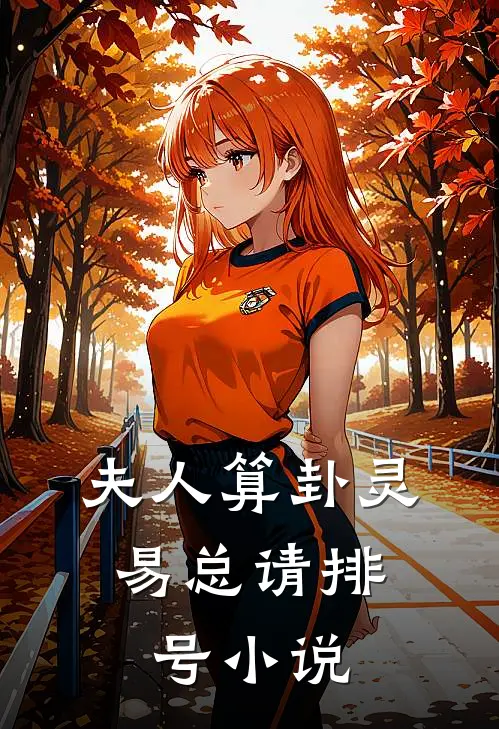 夫人算卦灵，易总请排号小说