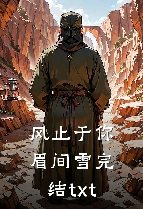 风止于你眉间雪完结txt