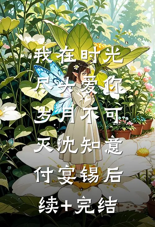 我在时光尽头爱你，岁月不可灭沈知意付宴锡后续+完结