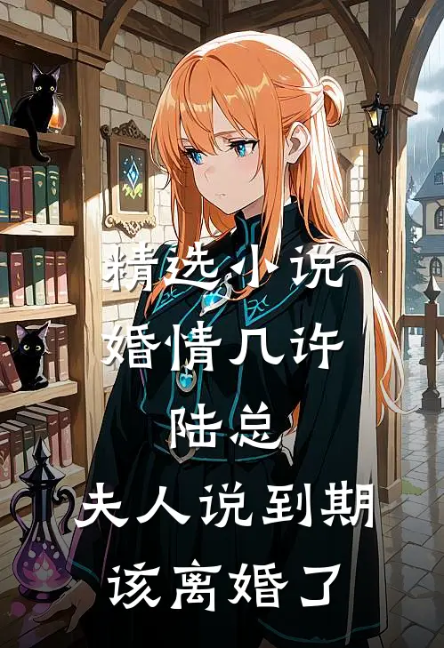 精选小说婚情几许：陆总，夫人说到期该离婚了