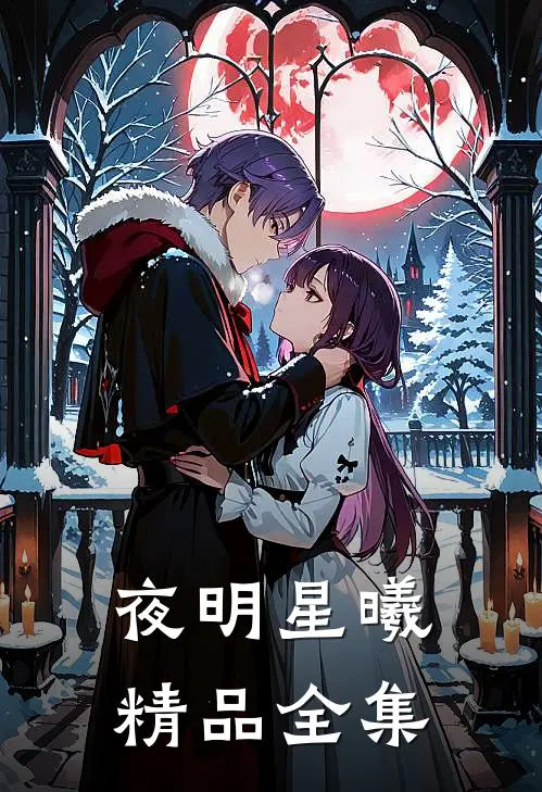 夜明星曦精品全集