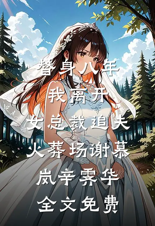 替身八年，我离开，女总裁追夫火葬场谢慕岚辛霁华全文免费