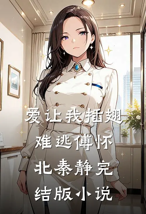 爱让我插翅难逃傅怀北秦静完结版小说