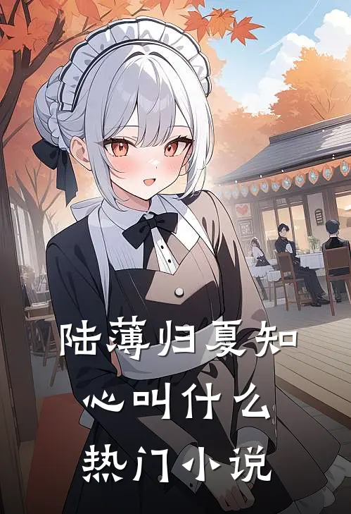 陆薄归夏知心叫什么热门小说