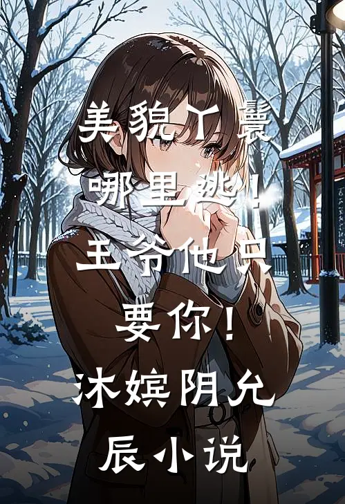 美貌丫鬟哪里逃！王爷他只要你！沐嫔阴允辰小说