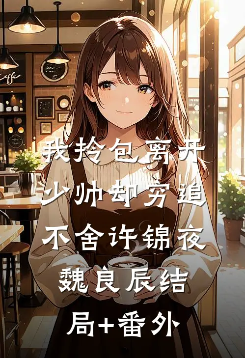 我拎包离开，少帅却穷追不舍许锦夜魏良辰结局+番外