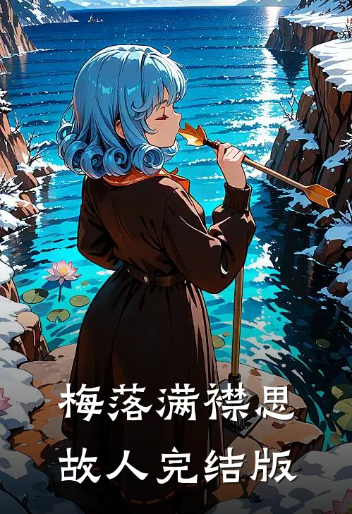 梅落满襟思故人完结版