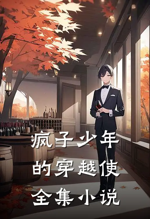 疯子少年的穿越使全集小说