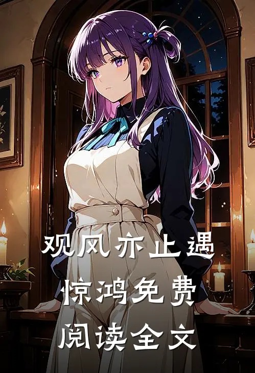 观风亦止遇惊鸿免费阅读全文