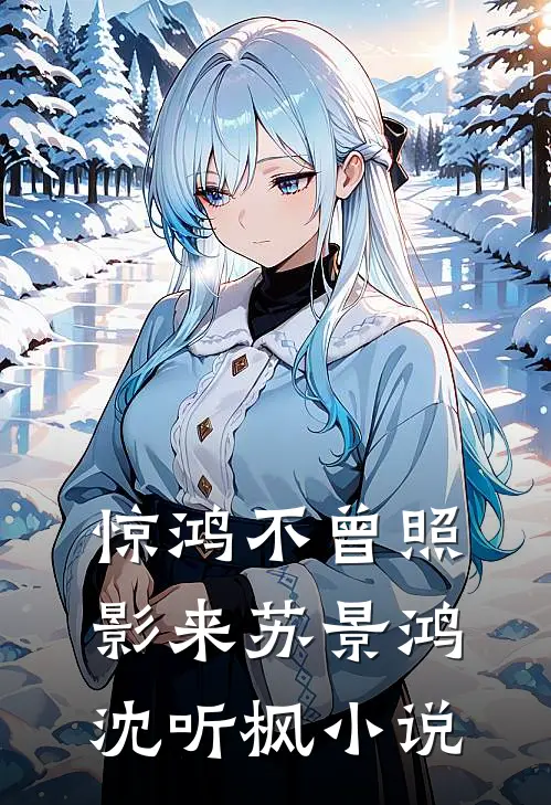 惊鸿不曾照影来苏景鸿沈听枫小说