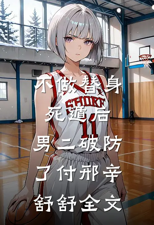 不做替身死遁后，男二破防了付邢辛舒舒全文