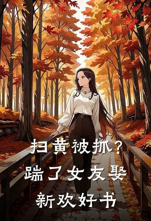 扫黄被抓？踹了女友娶新欢好书