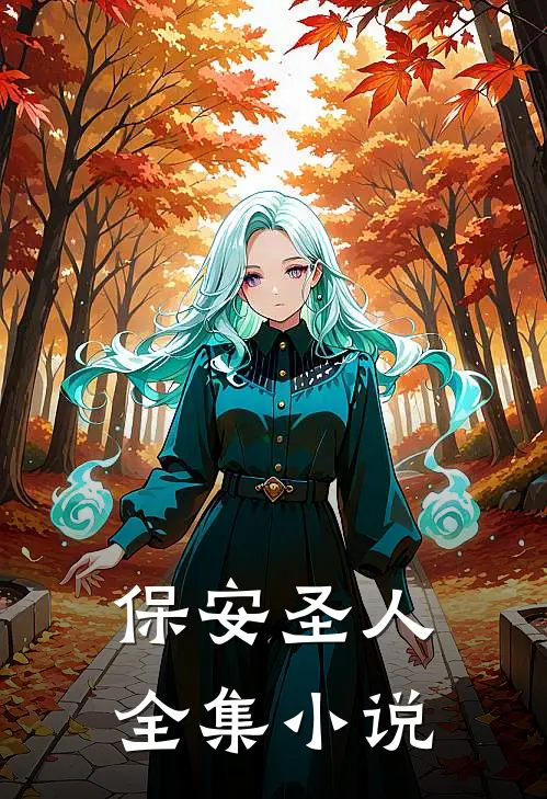 保安圣人全集小说