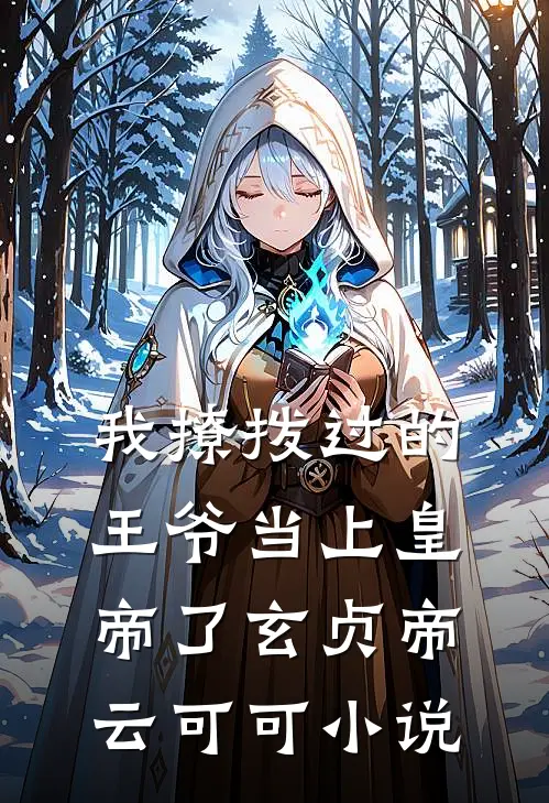我撩拨过的王爷当上皇帝了玄贞帝云可可小说