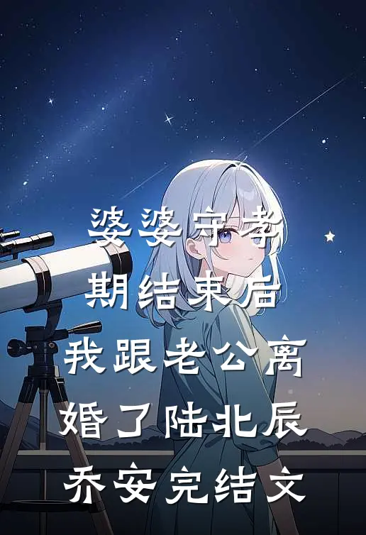 婆婆守孝期结束后，我跟老公离婚了陆北辰乔安完结文