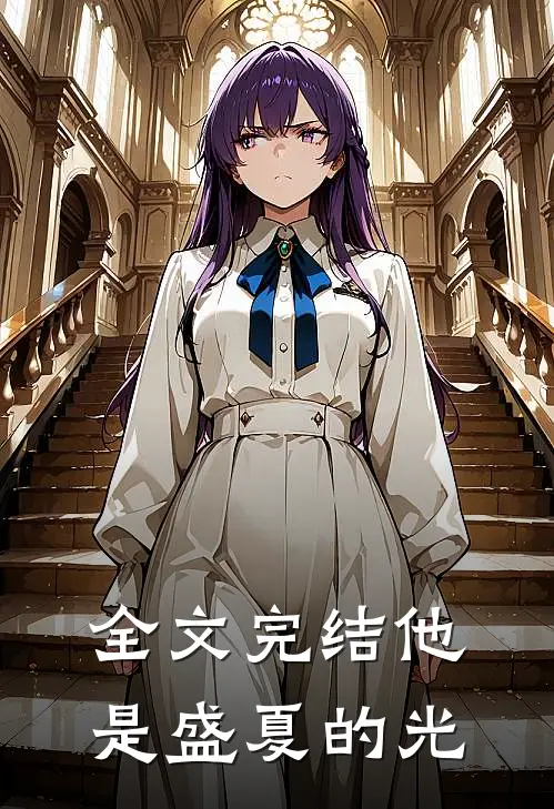 全文完结他是盛夏的光