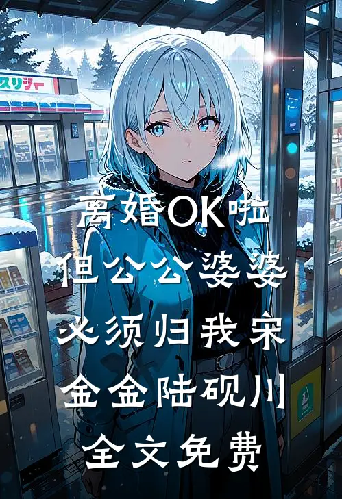 离婚OK啦，但公公婆婆必须归我宋金金陆砚川全文免费