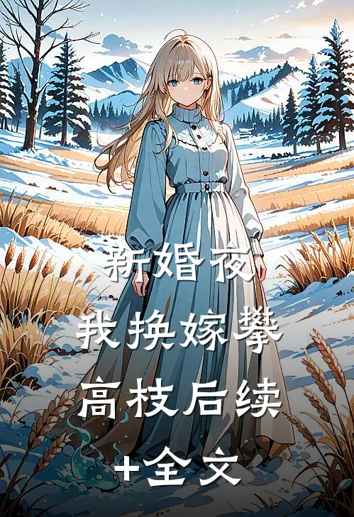 新婚夜，我换嫁攀高枝后续+全文