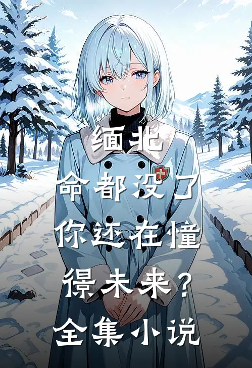 缅北：命都没了，你还在憧憬未来？全集小说