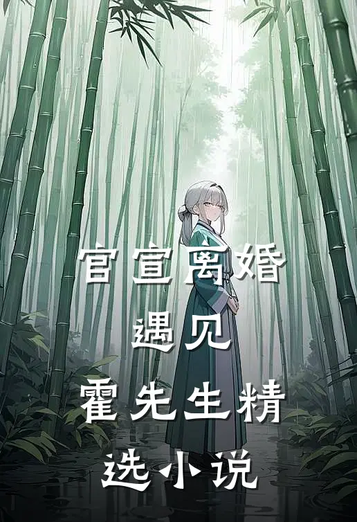 官宣离婚:遇见,霍先生精选小说