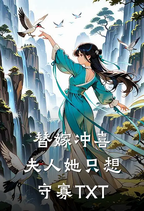 替嫁冲喜，夫人她只想守寡TXT