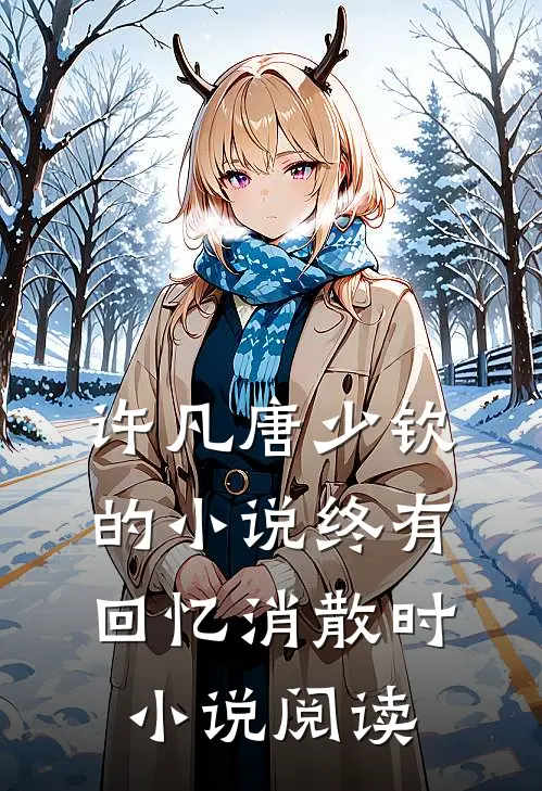 许凡唐少钦的小说终有回忆消散时小说阅读
