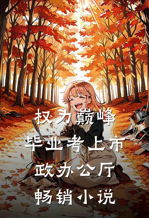 权力巅峰：毕业考上市政办公厅畅销小说