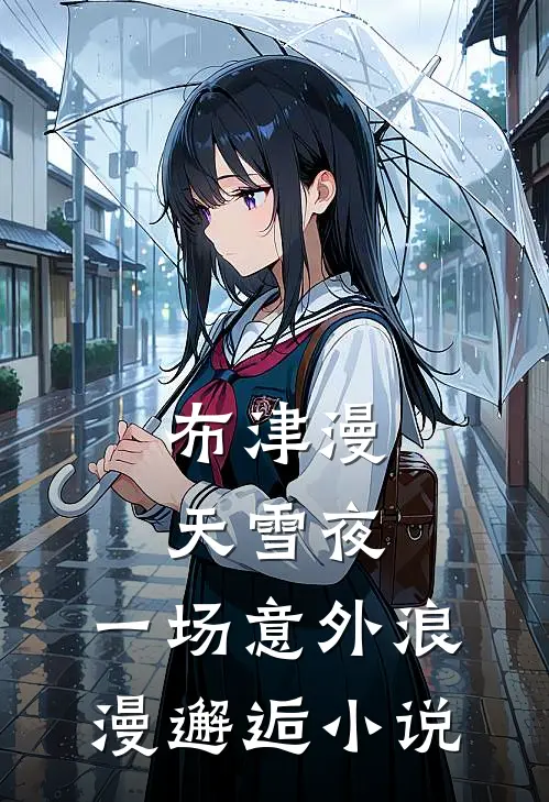 布津漫天雪夜：一场意外浪漫邂逅小说