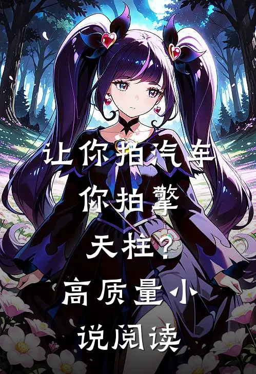 让你拍汽车，你拍擎天柱？高质量小说阅读