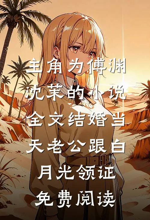 主角为傅渊沈茉的小说全文结婚当天老公跟白月光领证免费阅读