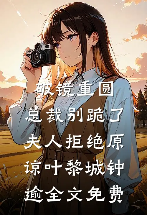 破镜重圆：总裁别跪了，夫人拒绝原谅叶黎城钟逾全文免费