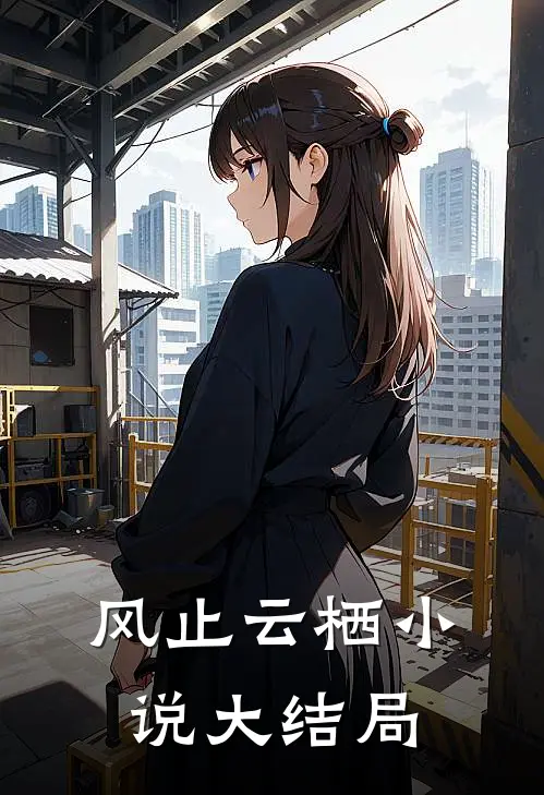 风止云栖小说大结局