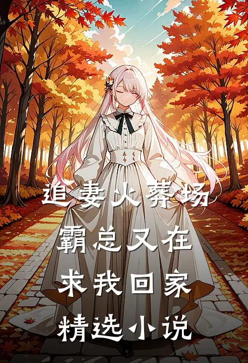 追妻火葬场：霸总又在求我回家精选小说
