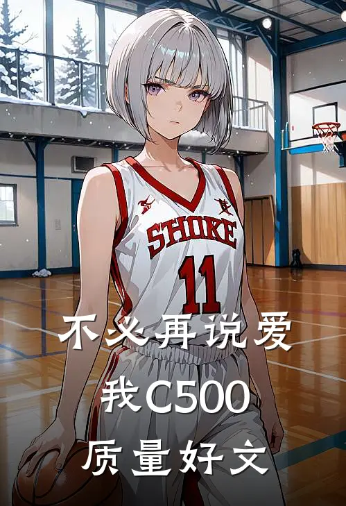 不必再说爱我C500质量好文