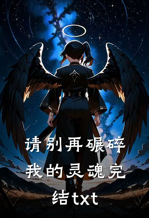 请别再碾碎我的灵魂完结txt