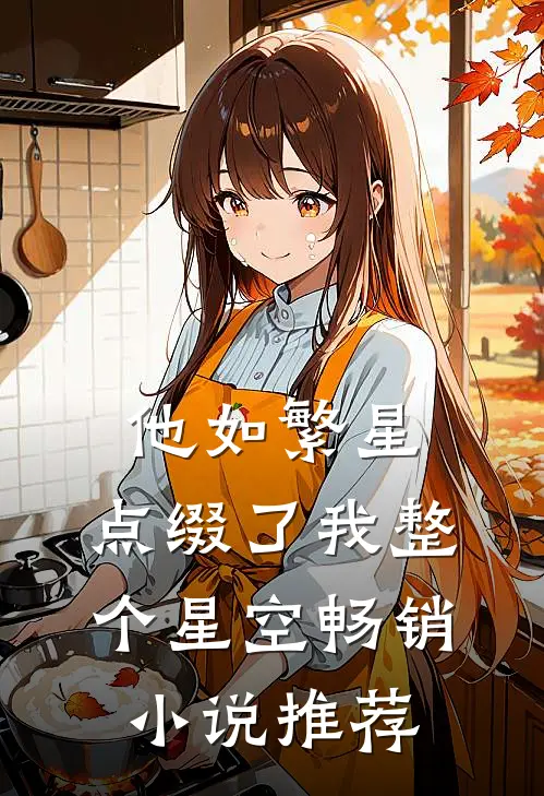 他如繁星，点缀了我整个星空畅销小说推荐