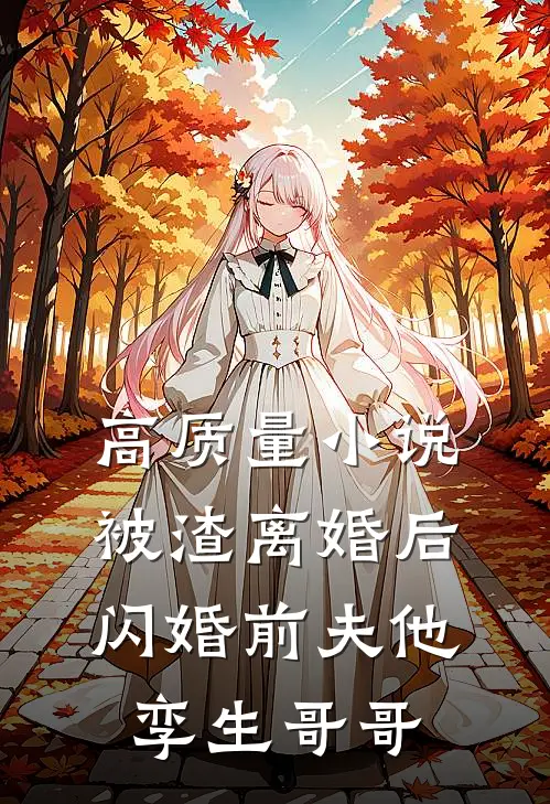 高质量小说被渣离婚后，闪婚前夫他孪生哥哥