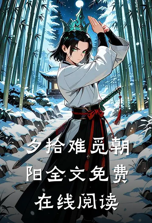 夕拾难觅朝阳全文免费在线阅读