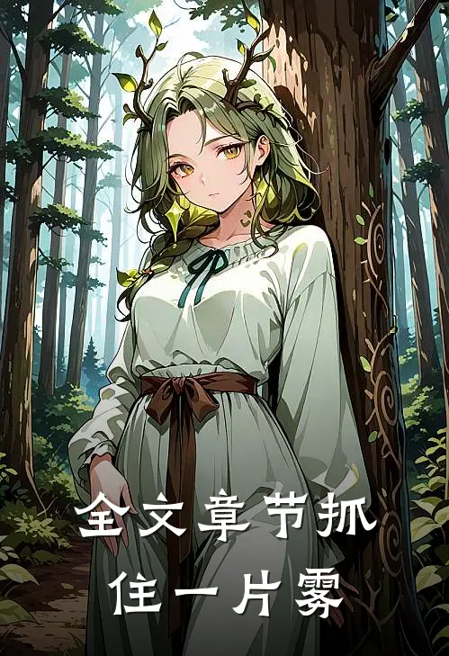 全文章节抓住一片雾