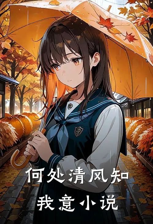 何处清风知我意小说