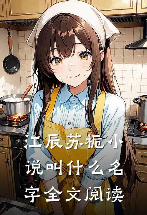 江辰苏栀小说叫什么名字全文阅读