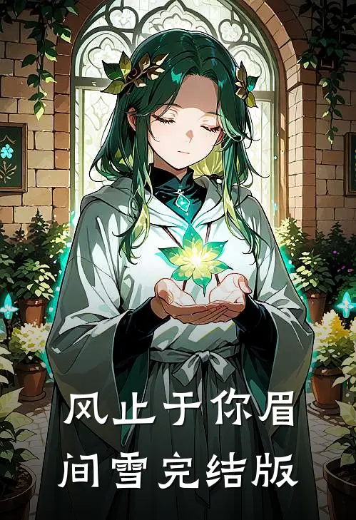 风止于你眉间雪完结版