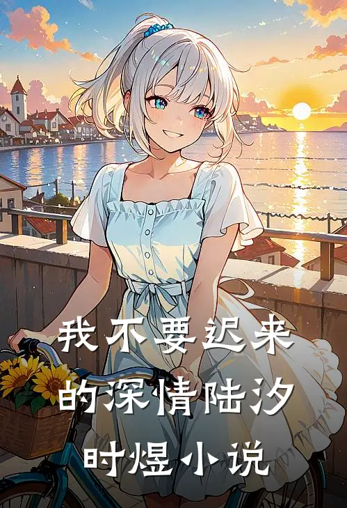 我不要迟来的深情陆汐时煜小说